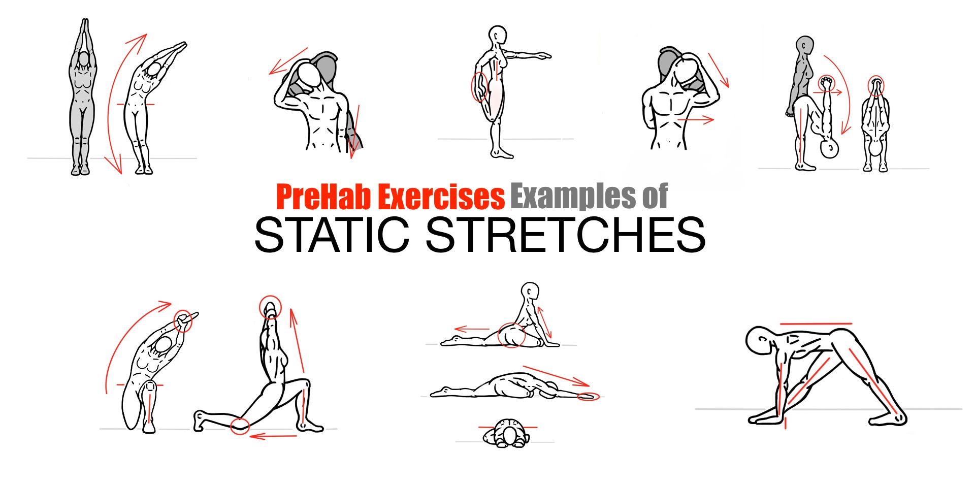 Examples of Static Stretches